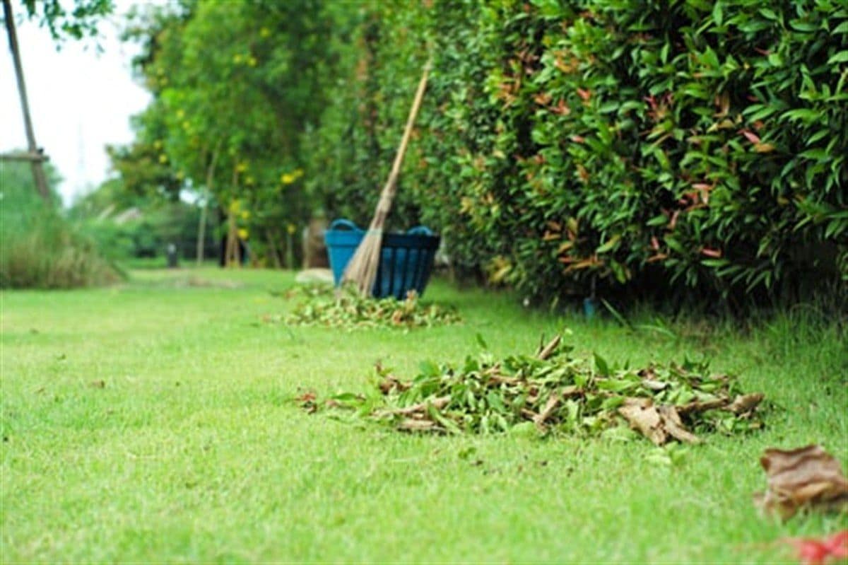 Tidy green lawn after a full property cleanup with debris raked and removed