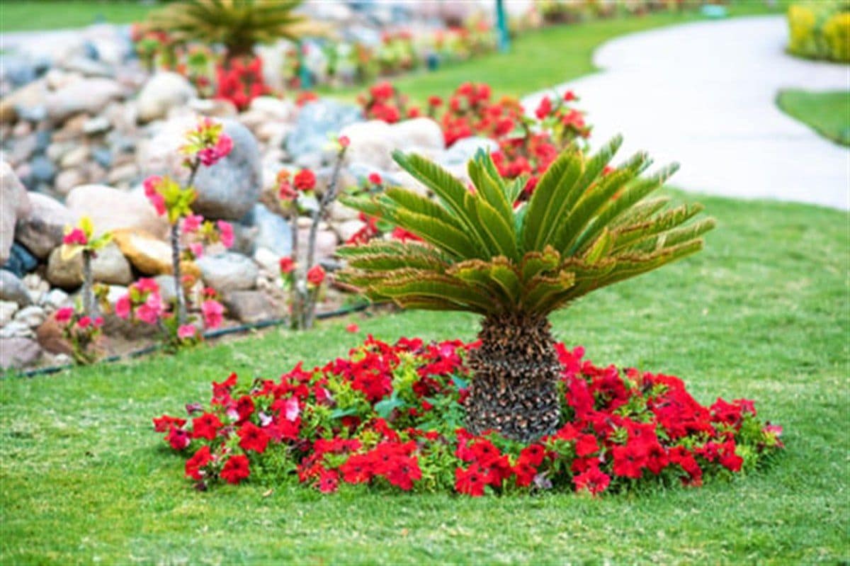Landscape bed with flowering plants, decorative stone border and a curved walkway installed in North Georgia
